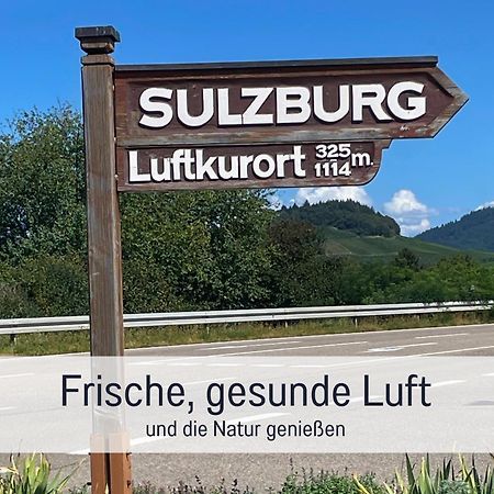 Ferienwohnungen Auszeit Langmatt 술츠부르크 외부 사진