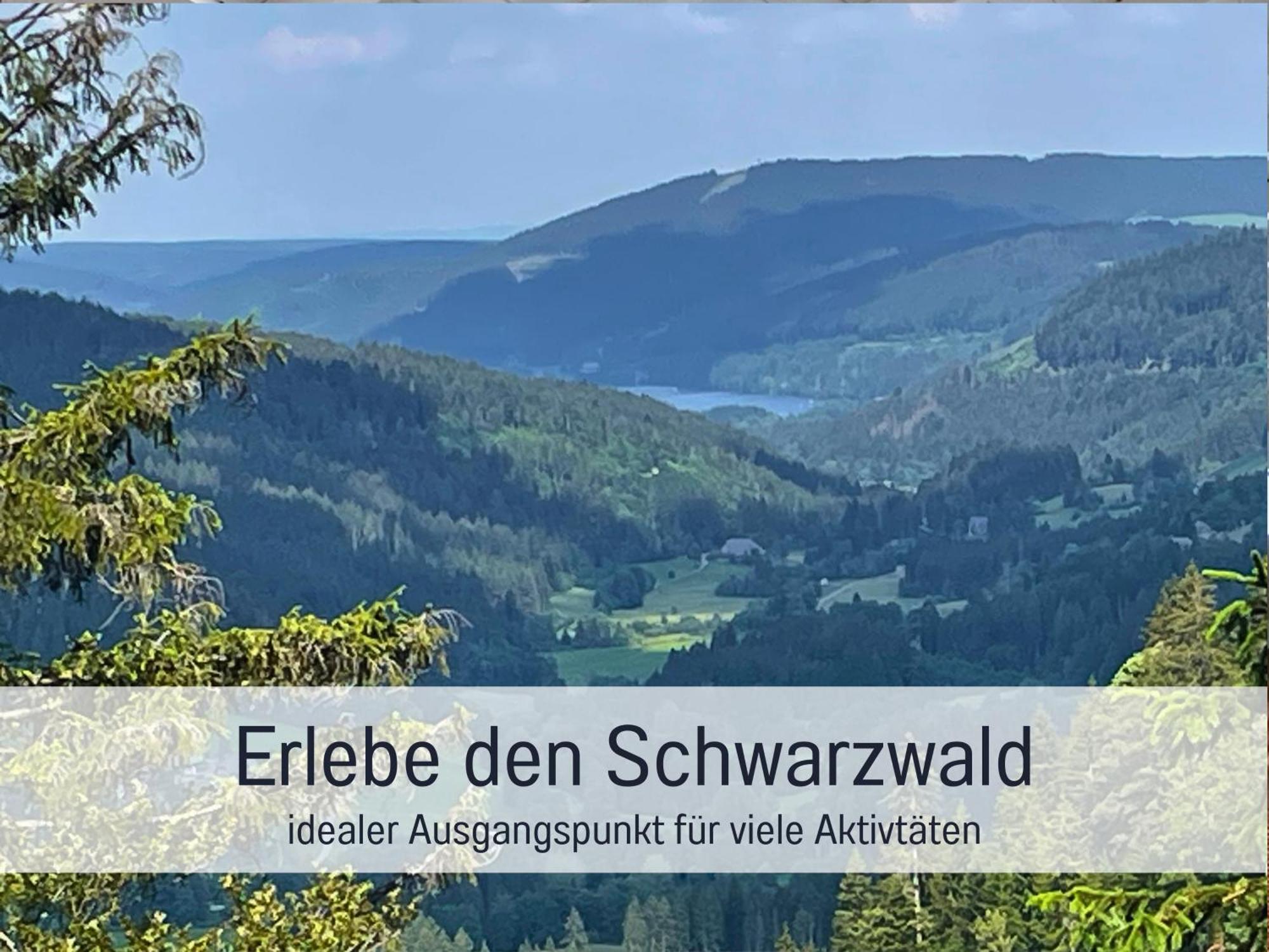 Ferienwohnungen Auszeit Langmatt 술츠부르크 외부 사진