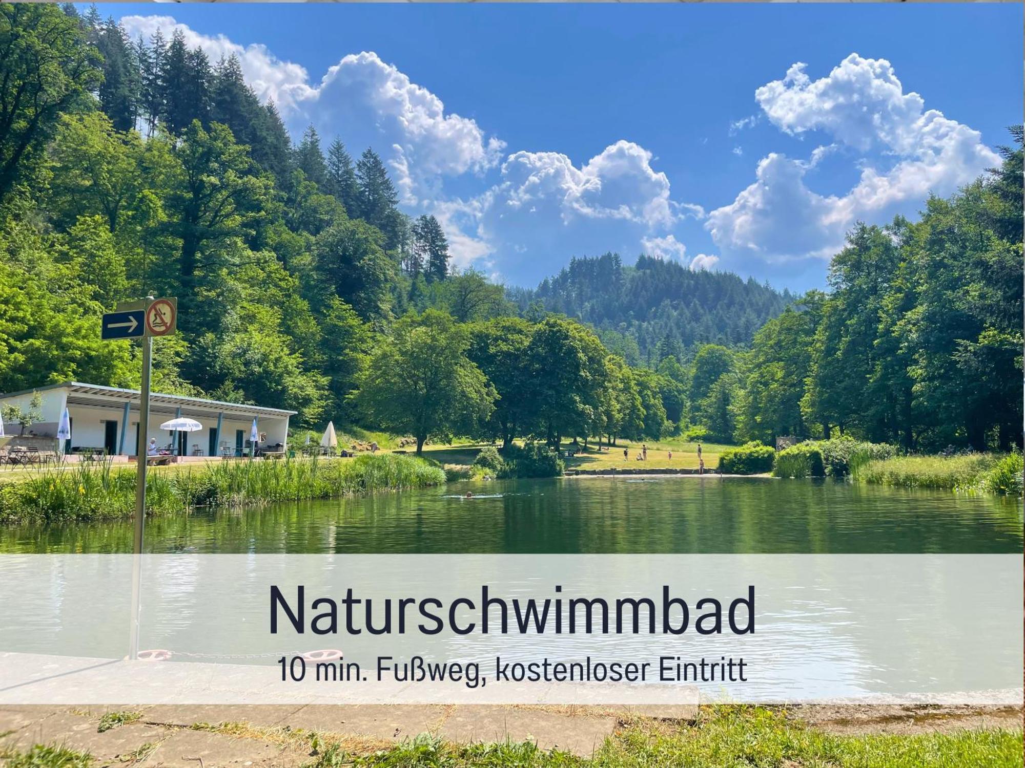 Ferienwohnungen Auszeit Langmatt 술츠부르크 외부 사진