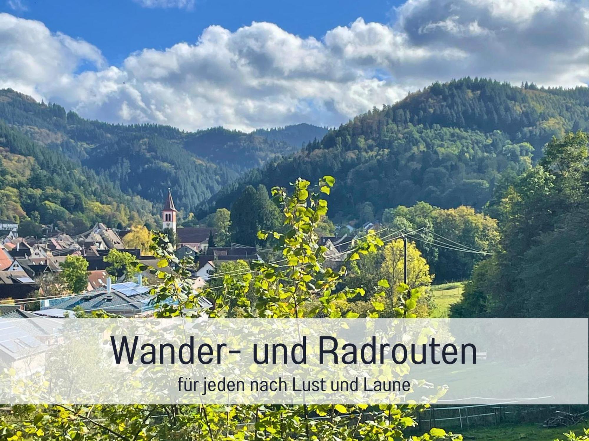 Ferienwohnungen Auszeit Langmatt 술츠부르크 외부 사진