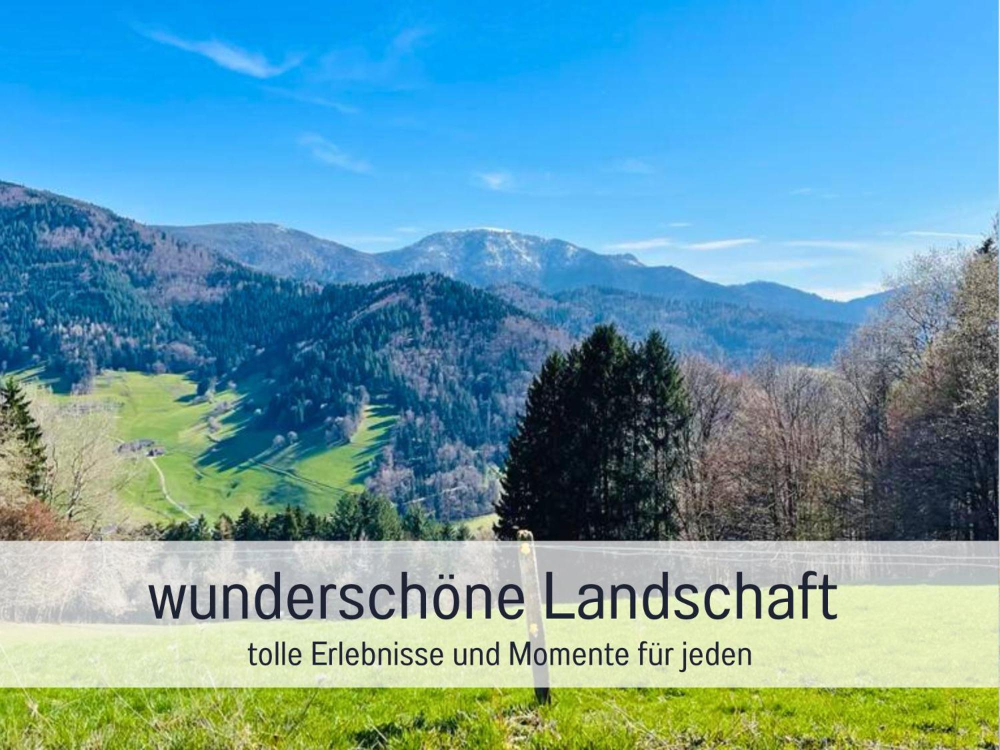 Ferienwohnungen Auszeit Langmatt 술츠부르크 외부 사진